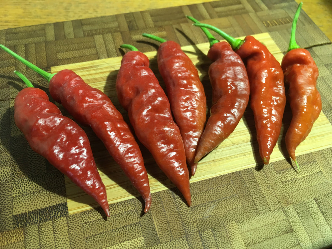 Caramello (Pepper Seeds)