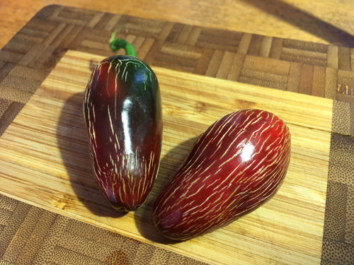 Jalapeno Zapotec (Pepper Seeds)