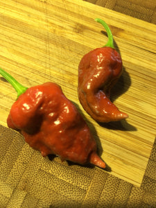 Naga Caramel (Pepper Seeds)