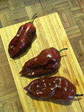 Load image into Gallery viewer, Bhut Jolokia Brown (Pepper Seeds)