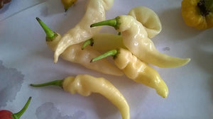 Murupi Amarela Pepper Seeds