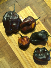 Load image into Gallery viewer, 7JPN (Black)(Pepper Seeds)