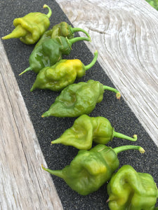 Scorpion Green (Pepper Seeds)