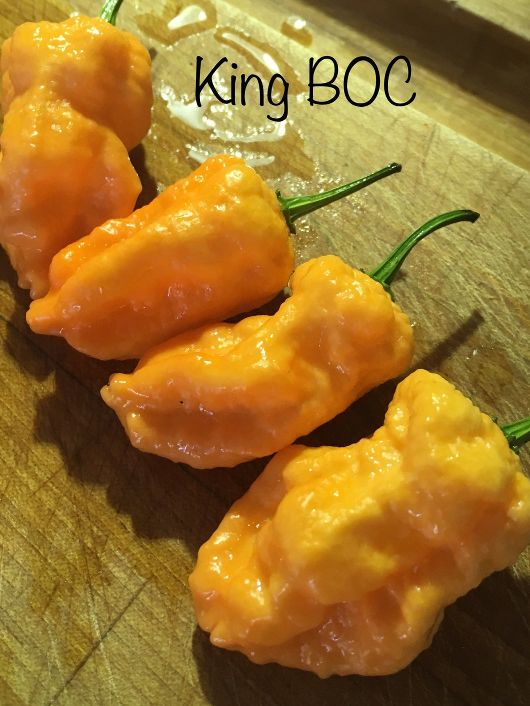 King B.O.C. (Pepper Seeds)