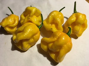 Douglah x Barakpere (Yellow)(Pepper Seeds)