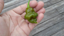Load image into Gallery viewer, Scorpion Green (Pepper Seeds)