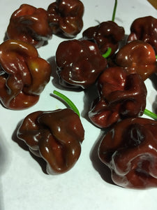 Scotch Bonnet Chocolate (Pepper Seeds)