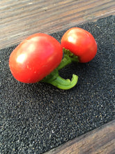 Load image into Gallery viewer, Cherry Bomb (Pepper Seeds)