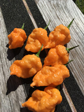 Load image into Gallery viewer, 7 Pot Douglah Peachy (Pepper Seeds)