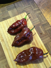 Load image into Gallery viewer, Bhut Jolokia Brown (Pepper Seeds)