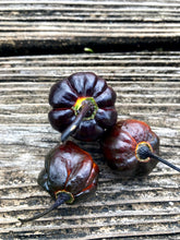Load image into Gallery viewer, 7JPN (Black)(Pepper Seeds)