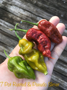 7 Pot Rusted (Pepper Seeds)