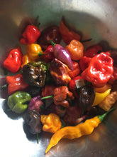 Load image into Gallery viewer, Fresh Assorted Unlabeled  SuperHot Peppers (SFRB)