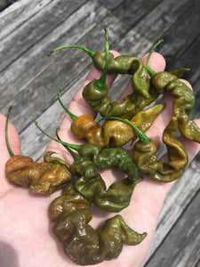 Habanero Mustard Lightning (Pepper Seeds)