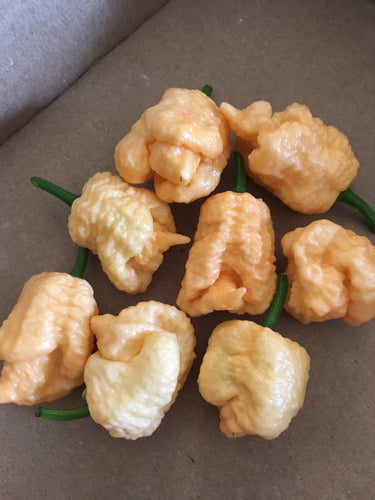 Pseudo Spiral Peach (Pepper Seeds)