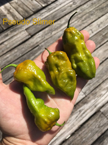 Pseudo Slimer  (Pepper Seeds)