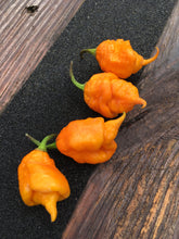 Load image into Gallery viewer, 7 Pot Primo Orange (Pepper Seeds)
