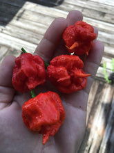 Load image into Gallery viewer, Fresh Carolina Reaper Peppers (SFRB)