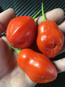Aji Bolsa De Dulce (Pepper Seeds)