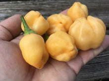 Load image into Gallery viewer, Aji Peach Fantasy (Pepper Seeds)