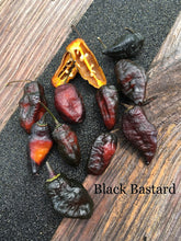Load image into Gallery viewer, Black B@stard (Pepper Seeds)(Limited)