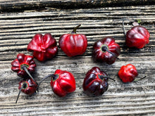 Load image into Gallery viewer, Black Betty Red (Pepper Seeds)