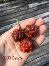 Load image into Gallery viewer, 7 Pot Bubblegum Caramel (Pepper Seeds)