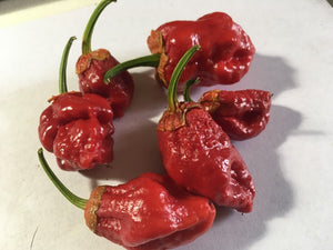 7 Pot Bubblegum Red (Pepper Seeds)