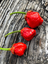 Load image into Gallery viewer, 7 Pot Bubblegum Red (Pepper Seeds)