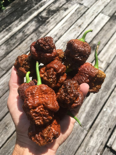 SuperHot Collection (Pepper Seeds)