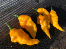 Load image into Gallery viewer, Bad Brains (Pepper Seeds)