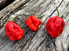 Load image into Gallery viewer, Bhutlah Decimator (Pepper Seeds)