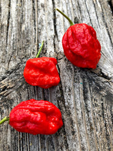 Load image into Gallery viewer, Bhutlah Decimator (Pepper Seeds)