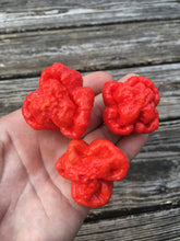 Load image into Gallery viewer, Brazilian Ghost Red (Pepper Seeds)