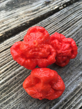 Load image into Gallery viewer, Brazilian Ghost Red (Pepper Seeds)