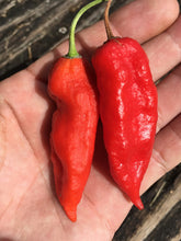 Load image into Gallery viewer, Bhut Jolokia Indian Carbon Red (Pepper Seeds)