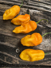 Load image into Gallery viewer, Bhut Indian Carbon Yellow (Pepper Seeds)