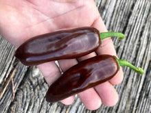 Load image into Gallery viewer, Jalapeno Brown (Pepper Seeds)