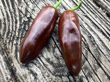 Load image into Gallery viewer, Jalapeno Brown (Pepper Seeds)