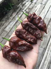 Load image into Gallery viewer, Bhut Jolokia Chocolate (Pepper Seeds)