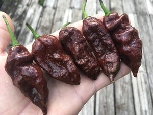 Bhut Jolokia Chocolate (Pepper Seeds)