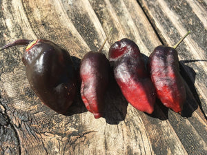 Black Karen (Limited) (Pepper Seeds)