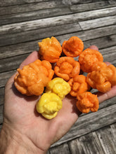 Load image into Gallery viewer, “Orange Creamo” (BOC X Primo Orange)(Pepper Seeds)