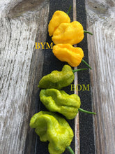 Load image into Gallery viewer, Big Olive Mama (Pepper Seeds)