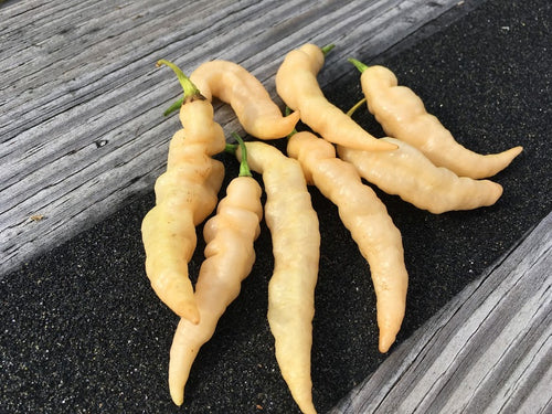 Tiger Murupi (Wrinkled Peach)(Pepper Seeds)