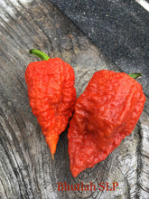 Load image into Gallery viewer, Bhutlah S.L.P. (Pepper Seeds)