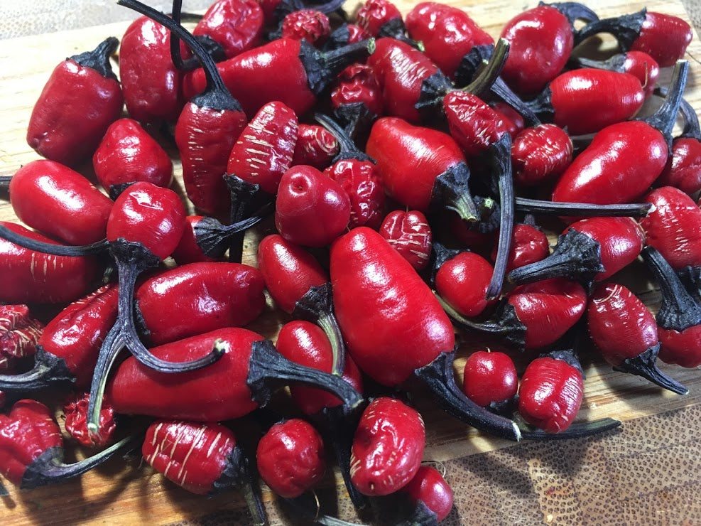 Black Scorpion Tongue DL (Pepper Seeds)