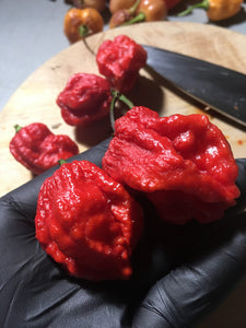 Big Sun Yellow  Habanero X Jigsaw (Red)(Pepper Seeds)