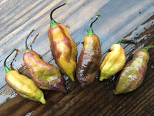 Load image into Gallery viewer, Black Tiger (Pepper Seeds)