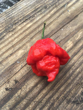 Load image into Gallery viewer, Scorpion Butch T. Red (Pepper Seeds)